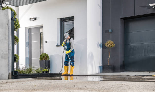 Best Driveway Pressure Washing  in Eclectic, AL